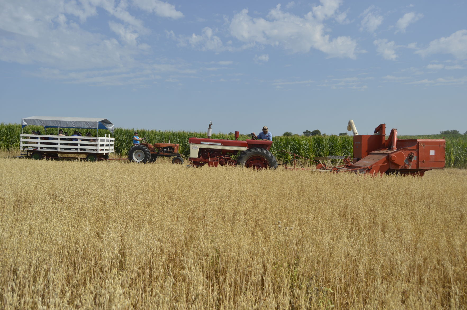 Threshing Day and Motorcycles (6).JPG